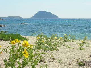 Apartments in Golfo Aranci, Sos Aranzos - Main view