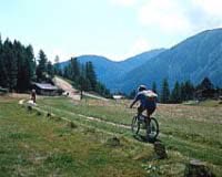 Passo Tonale Apartments - Photo 2