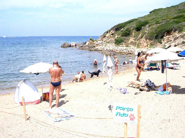 Porto Fido Dog-Friendly Beach in Porto Quadro, Santa Teresa Gallura, Sardinia
