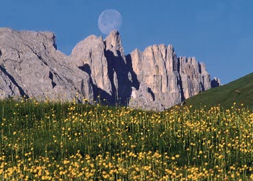Val di Fiemme, Residence Mich - Photo 3