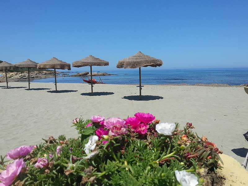 Porto Corallo Residence - Photo 7